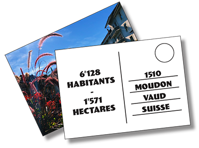 6'128 habitants - 1'571 hectares - 1510 Moudon Vaud Suisse